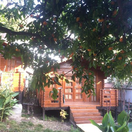 Cottage house New Athos ภายนอก รูปภาพ