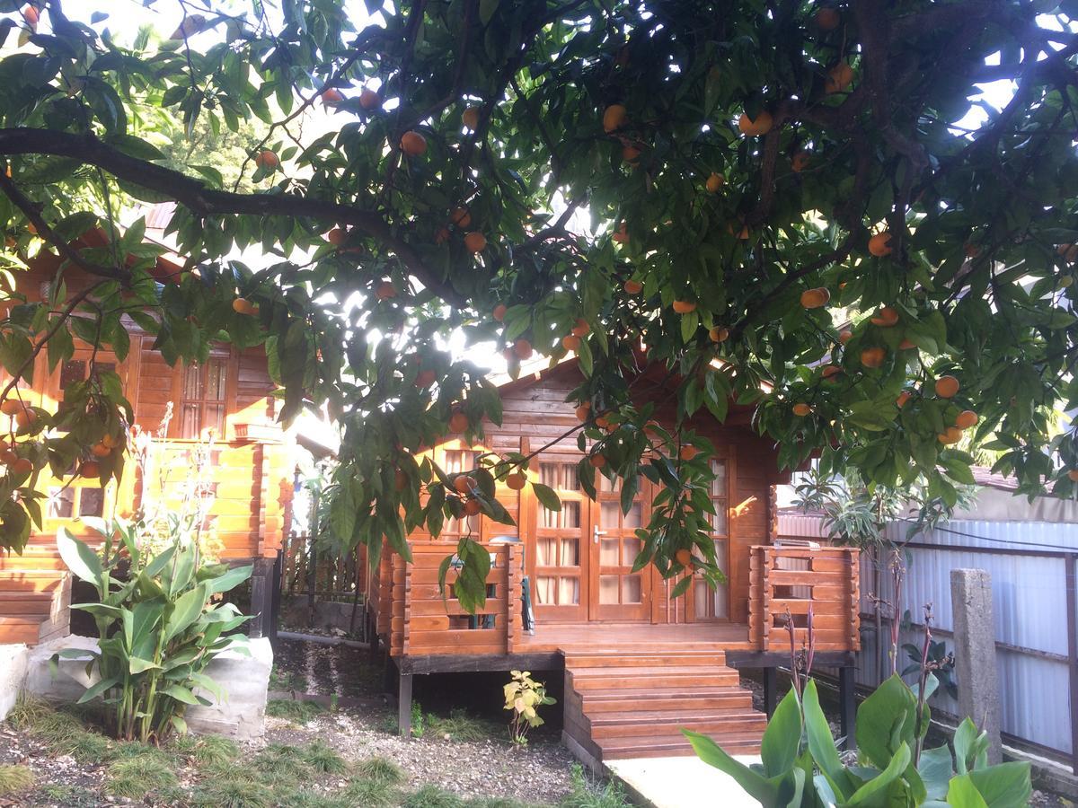 Cottage house New Athos ภายนอก รูปภาพ