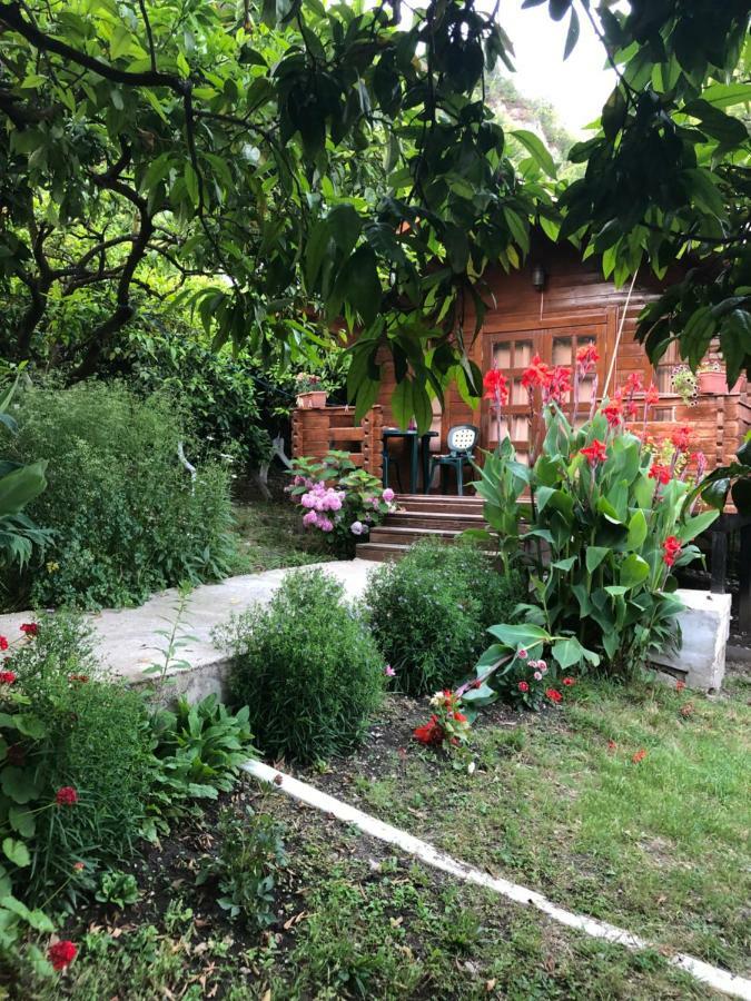Cottage house New Athos ภายนอก รูปภาพ